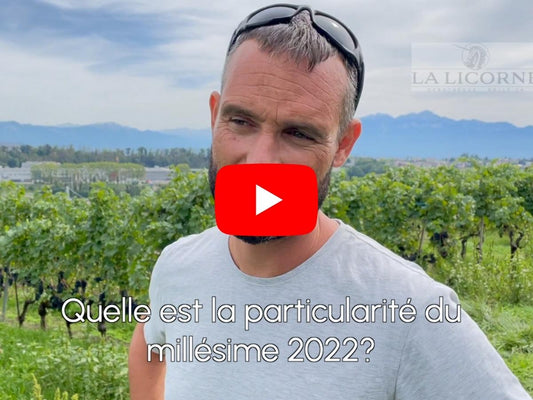 Quelle est la particularité du millésime 2022 ?