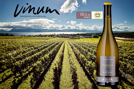 Parcelle 900 Chasselas Sélection Nature 2020 - Meilleur vin blanc Bio Suisse 2022