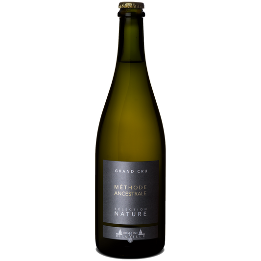 Pet Nat Methode ancestrale vin nature vin naturel Domaine de la Ville de Morges