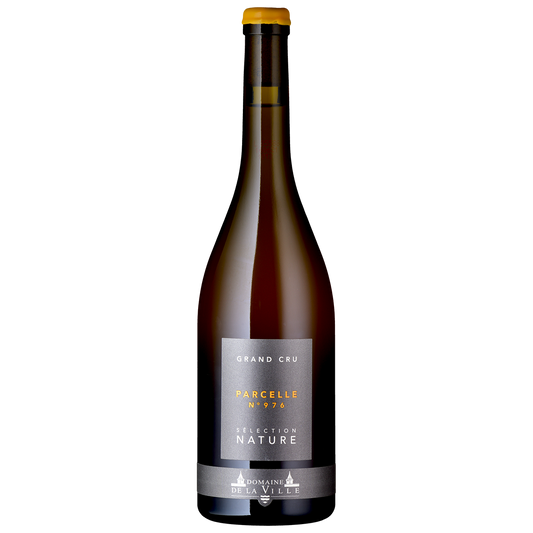 Pinot Gris vin nature vin naturel Domaine de la Ville de Morges