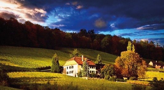 Evénements 2026 Domaine de Sarraux-Dessous